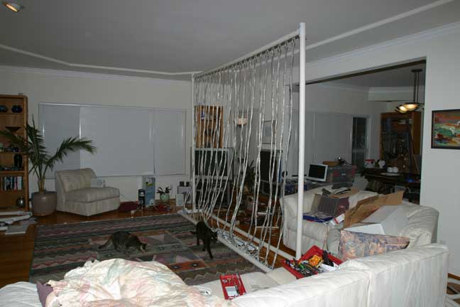 Lyre in living room