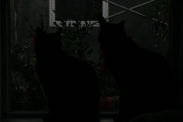2006_04_0081 