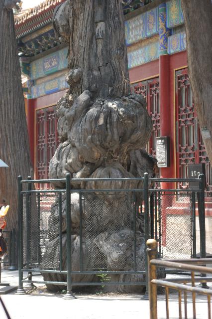 2006_06_3000 
