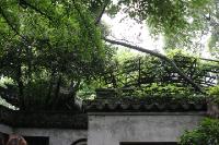 2006_06_0325 