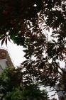 2006_06_0531