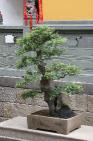 2006_06_0633