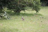 2006_06_0644