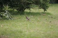 2006_06_0645