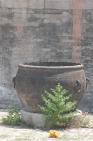 2006_06_2828 