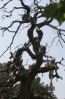 2006_06_2957 