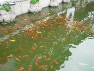 DSCN1568 