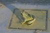 IMG_2674-1